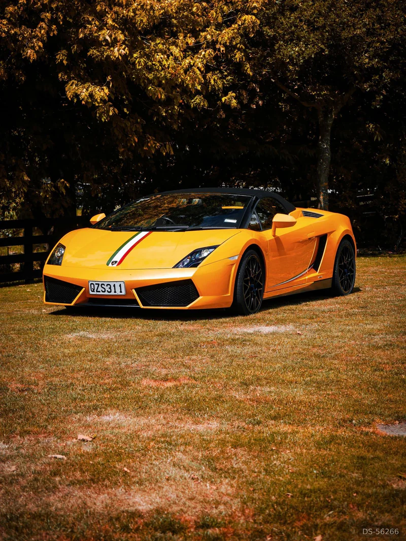 2013 Lamborghini Gallardo in Auckland 3