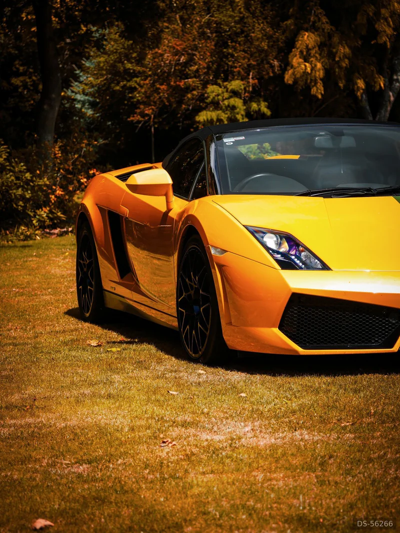 2013 Lamborghini Gallardo in Auckland 4