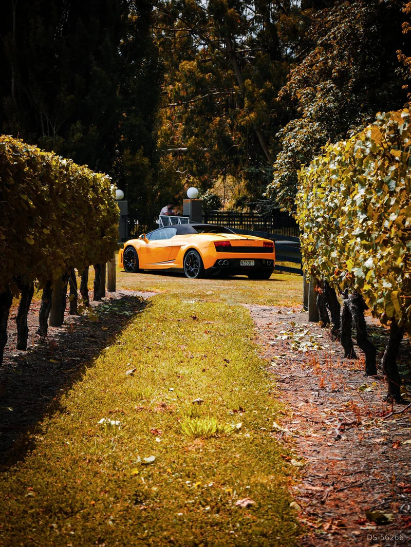 2013 Lamborghini Gallardo in Auckland 5