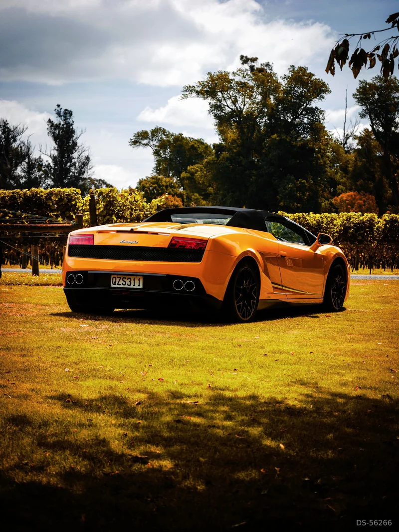 2013 Lamborghini Gallardo in Auckland 6