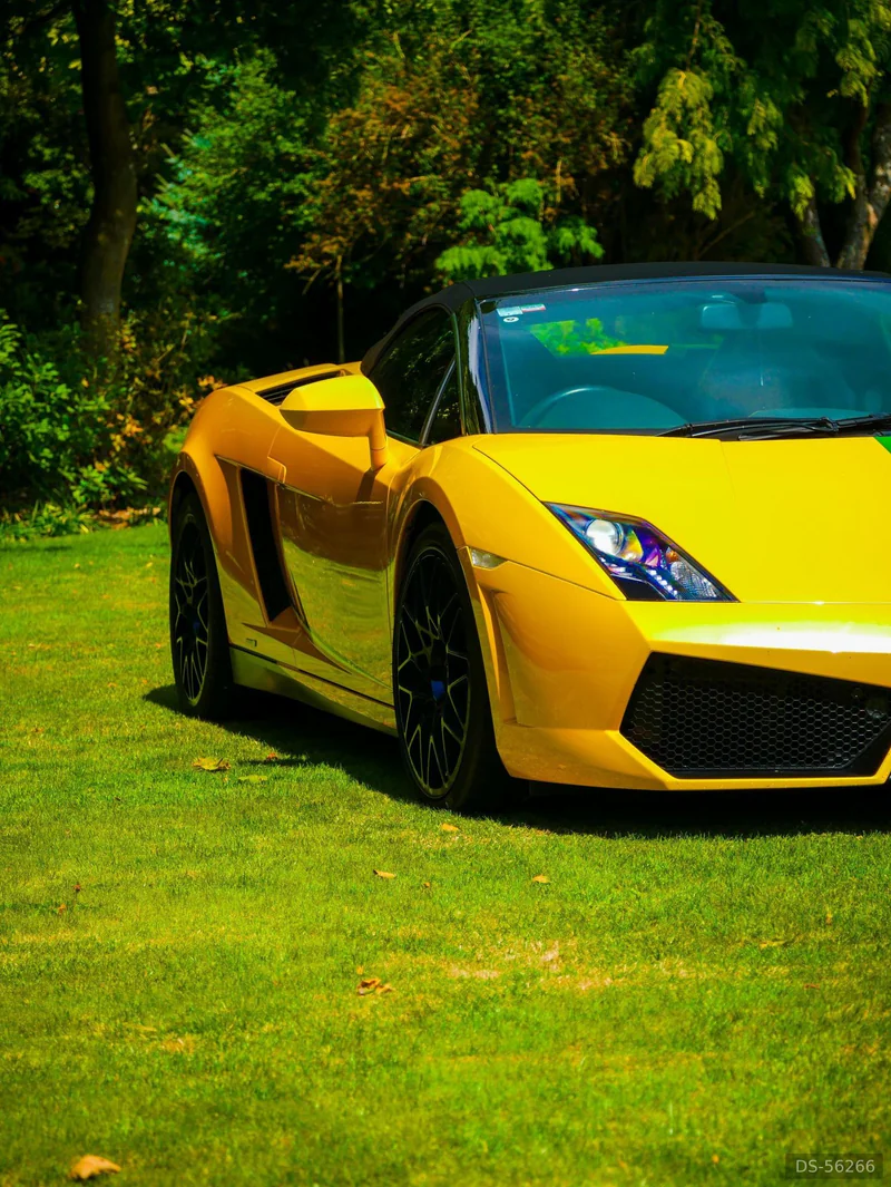 2013 Lamborghini Gallardo in Auckland 8