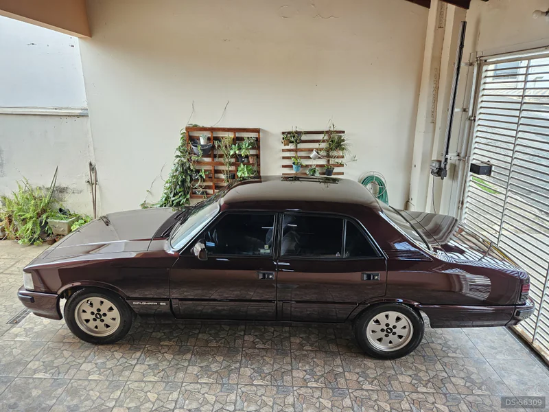 1991 Chevrolet Diplomata Se in Americana 2