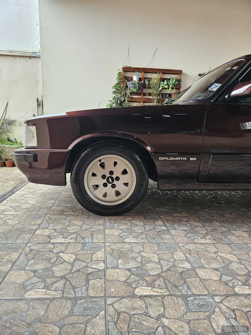 1991 Chevrolet Diplomata Se in Americana 4