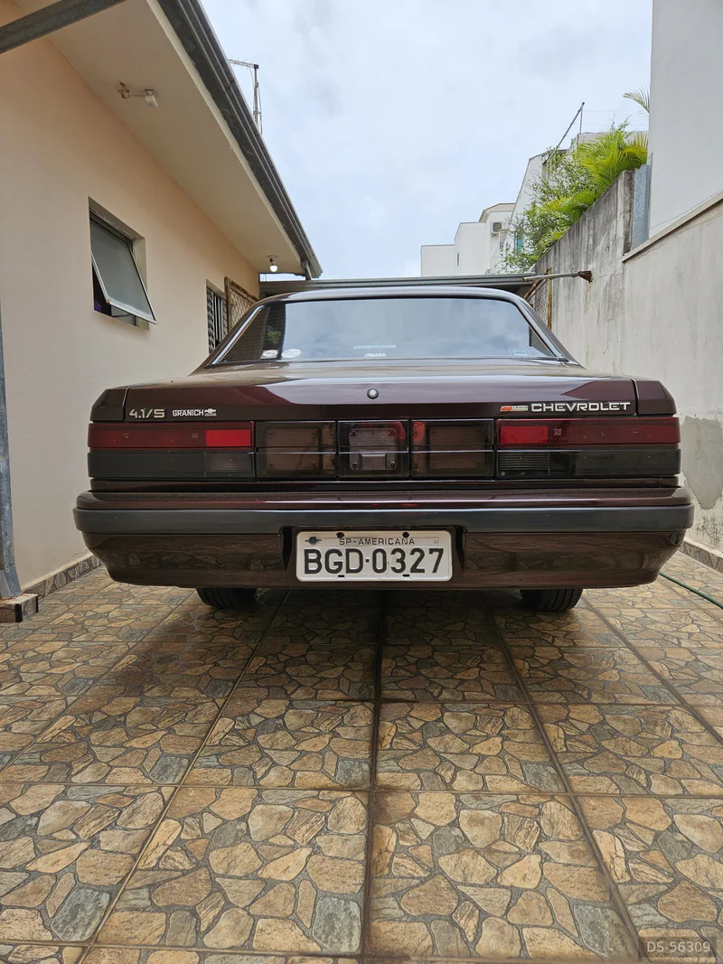1991 Chevrolet Diplomata Se in Americana 6