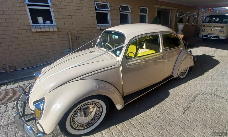 1967 Volkswagen 1967 Beetle in Cape Town