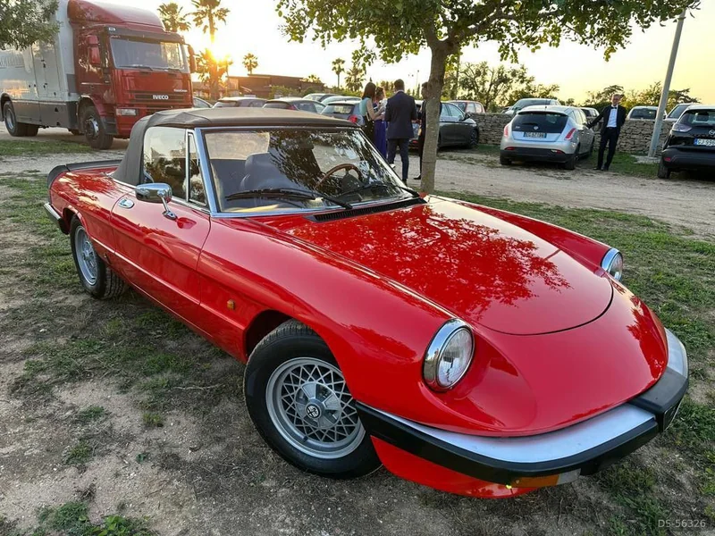 1986 Alfa Romeo Spider in Brindisi