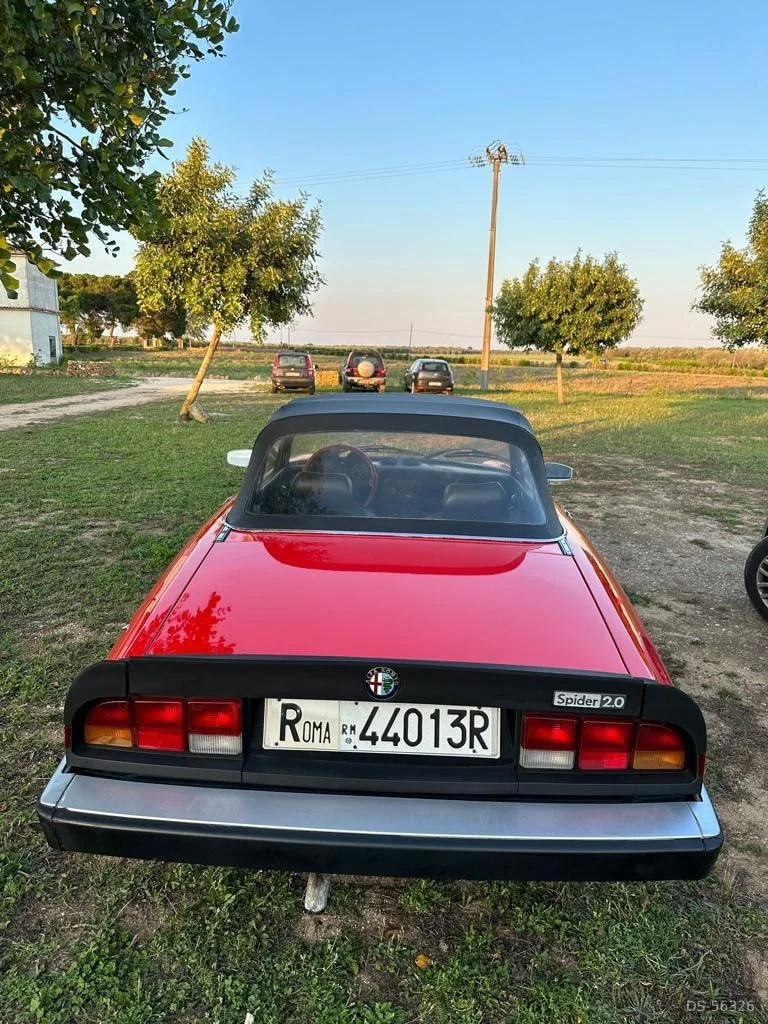 1986 Alfa Romeo Spider in Brindisi 4