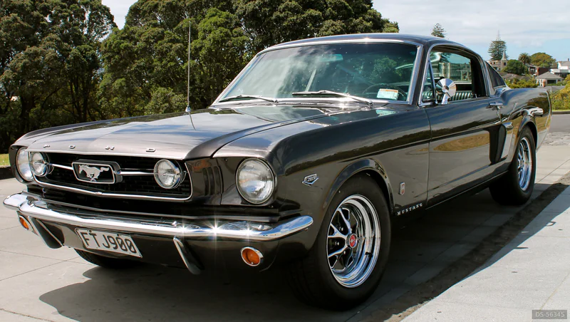 1966 Ford Mustang in Auckland 2