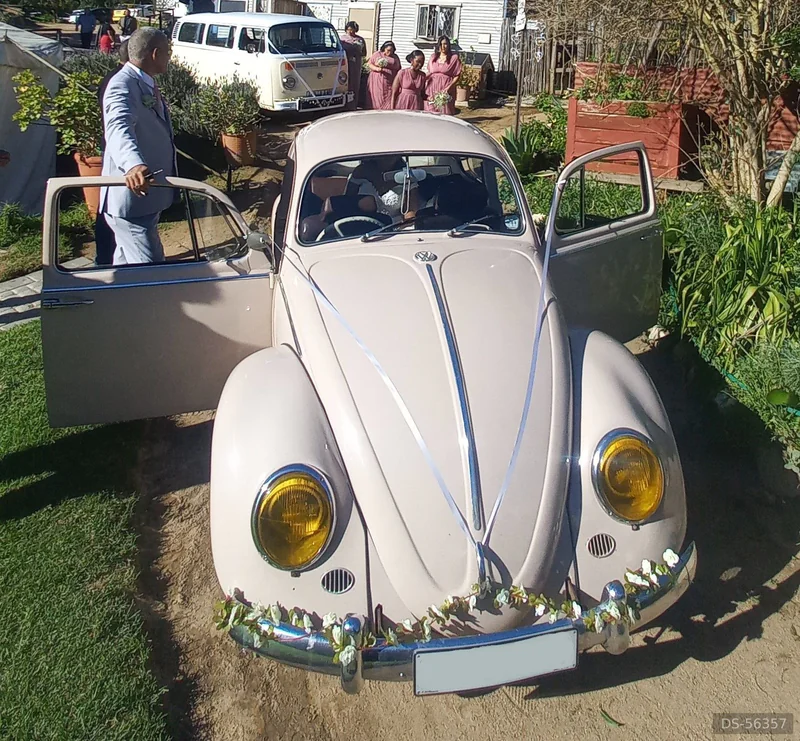 1966 Volkswagen 1966 Beetle in Cape Town 3