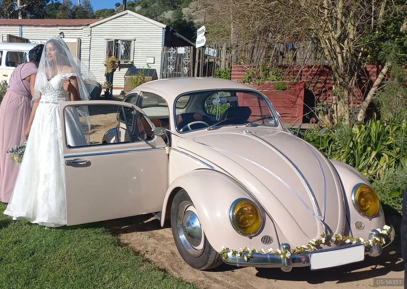 1966 Volkswagen 1966 Beetle in Cape Town 4