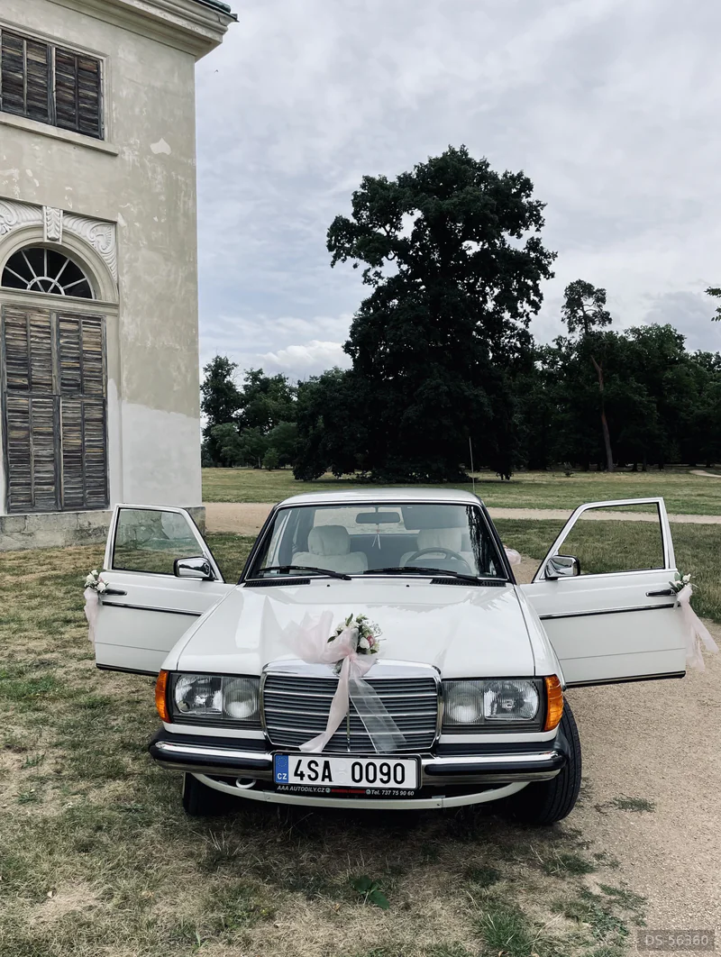 1984 Mercedes-Benz W123 in Poděbrady [km11429001] 2