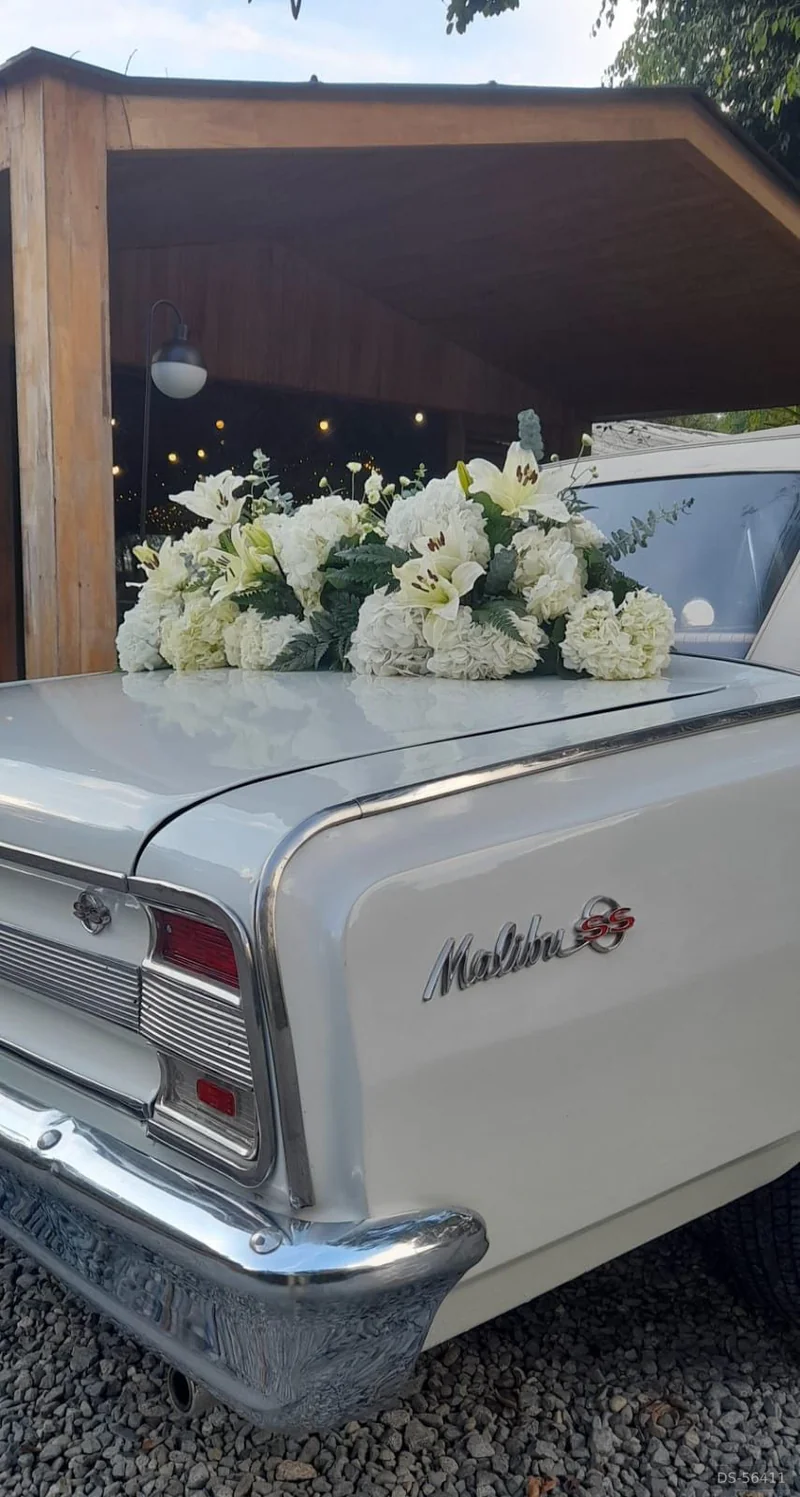 1964 Chevrolet Malibu Convertible