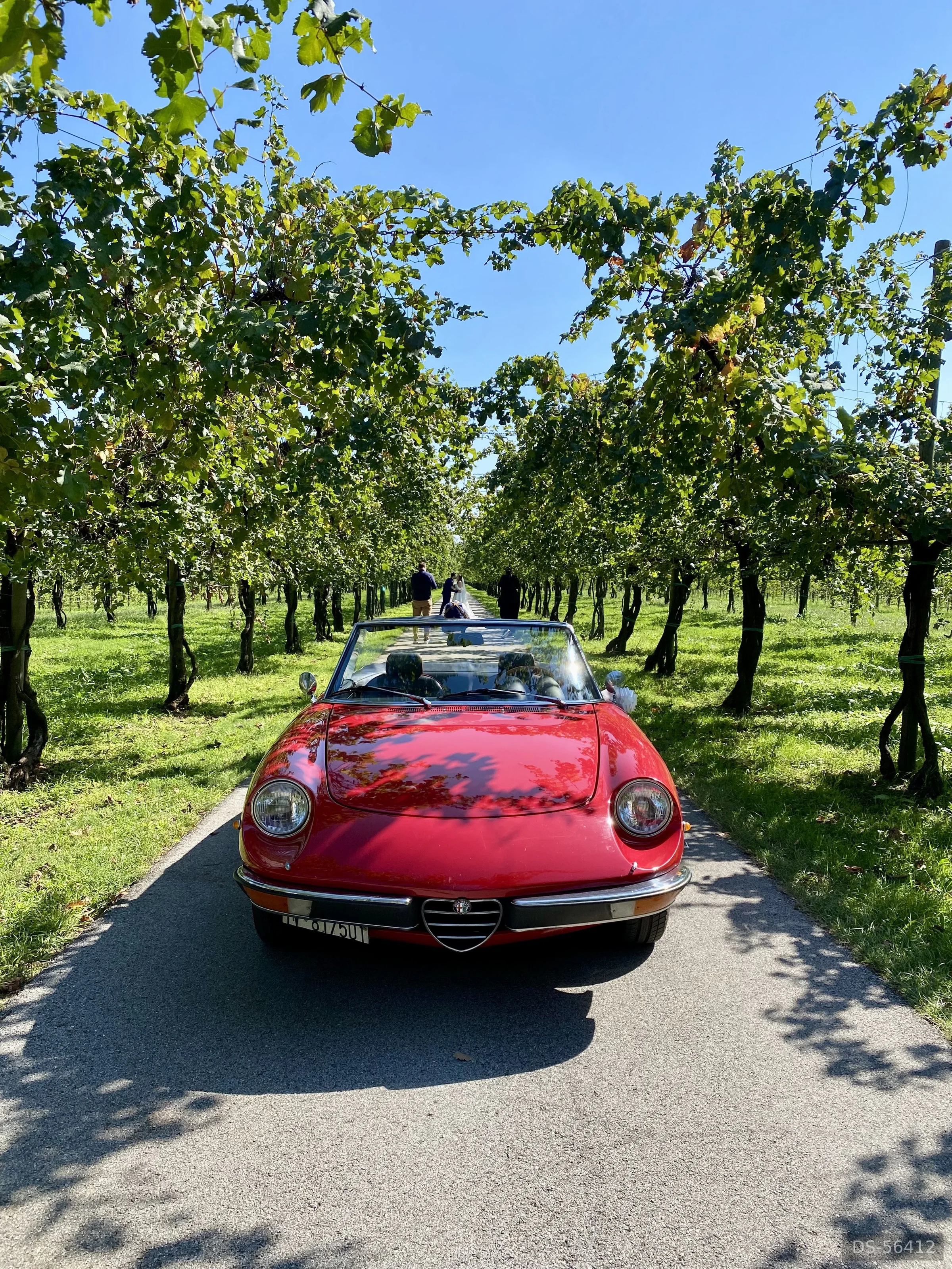 1972 Alfa Romeo Duetto Spider Veloce 2.0