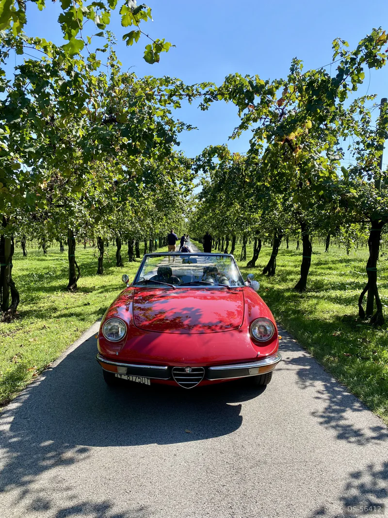 1972 Alfa Romeo Duetto Spider Veloce 2.0 in Treviso