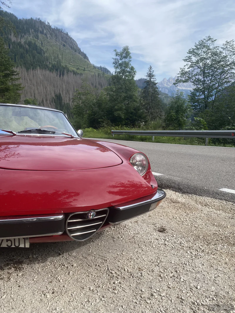 1972 Alfa Romeo Duetto Spider Veloce 2.0 in Treviso 3