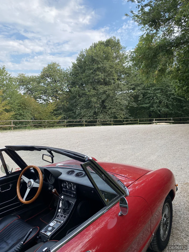 1972 Alfa Romeo Duetto Spider Veloce 2.0 in Treviso 4