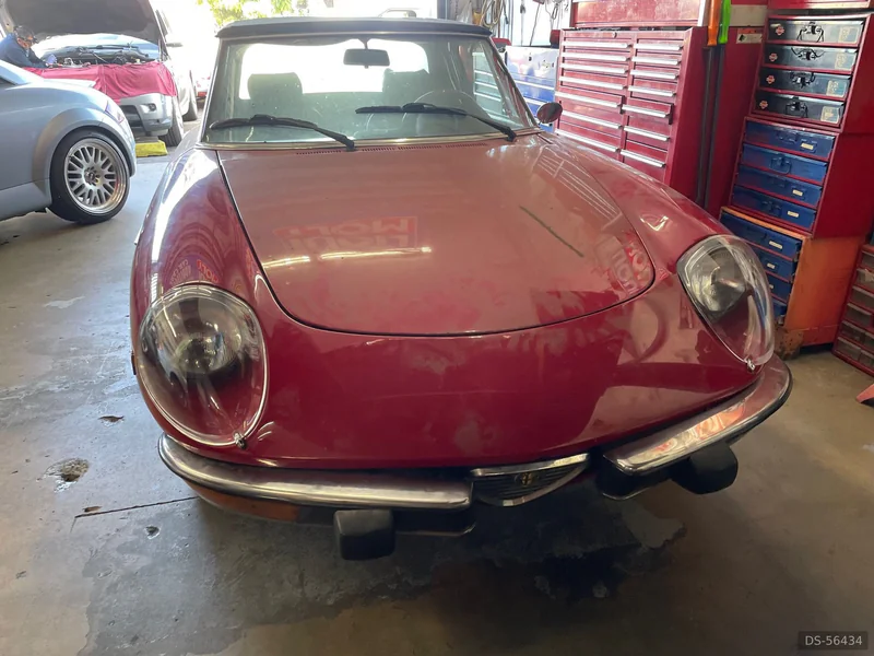 1978 Alfa Romeo Spider in Roma 5