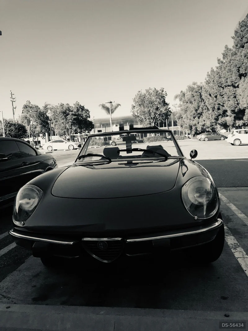 1978 Alfa Romeo Spider in Roma 8