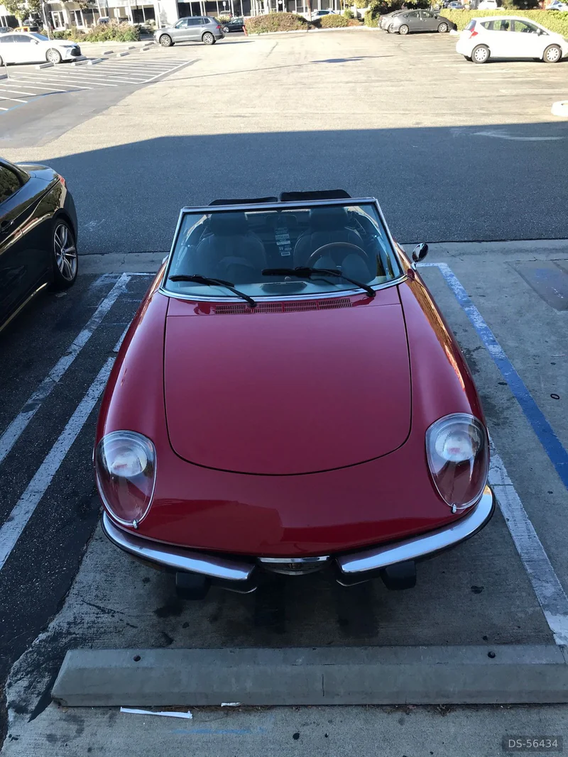 1978 Alfa Romeo Spider in Roma 9