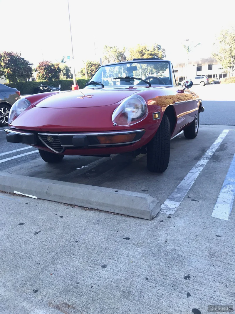 1978 Alfa Romeo Spider in Roma 10