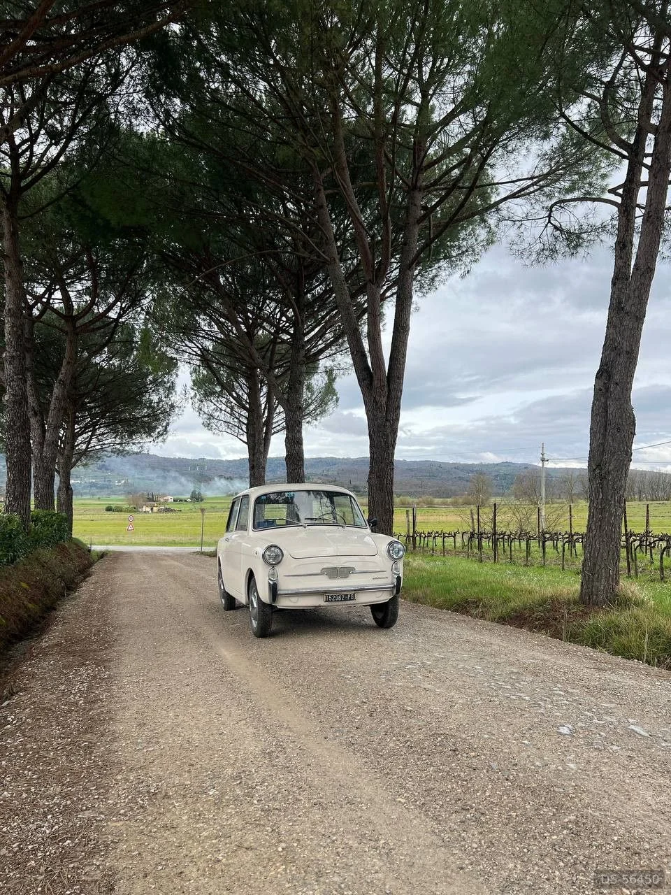 1969 Autobianchi Bianchina Panoramica