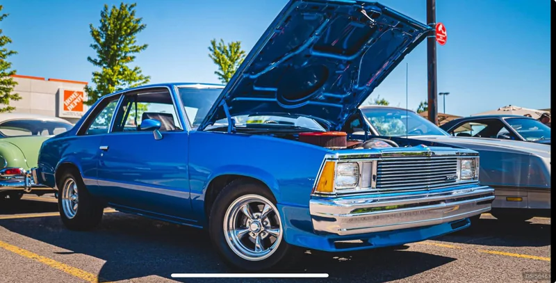 1981 Chevrolet Malibu Classic