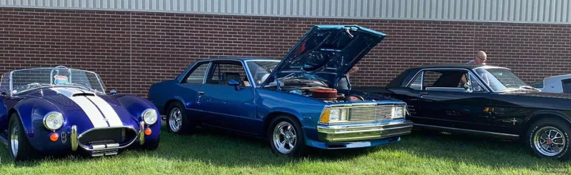 1981 Chevrolet Malibu Classic