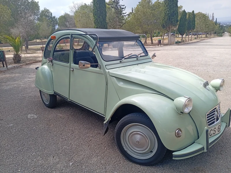 1980 Citroen 2 Cv in Benijofar 6