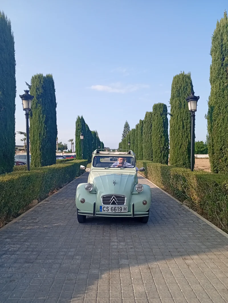 1980 Citroen 2 Cv in Benijofar 7