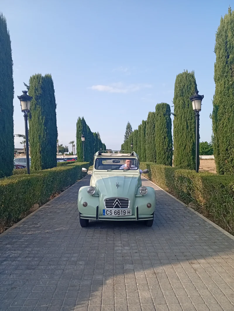 1980 Citroen 2 Cv in Benijofar 8