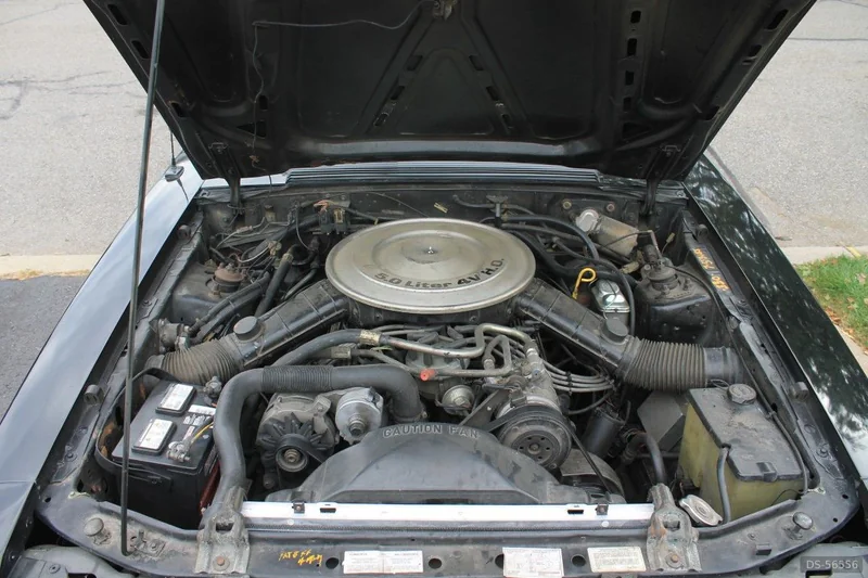 1985 Ford Mustang in Kirkland 5