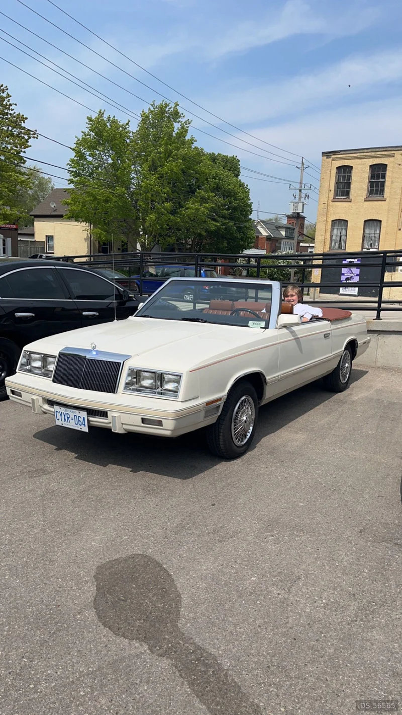 1982 Chrysler Lebaron Mark Cross in Kitchener 2