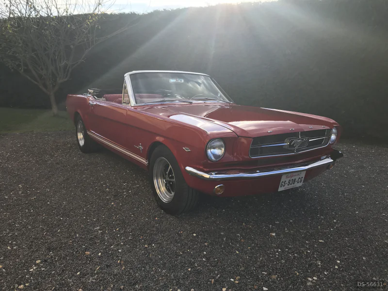 1965 Ford Mustang in Bourgtheroulde 2