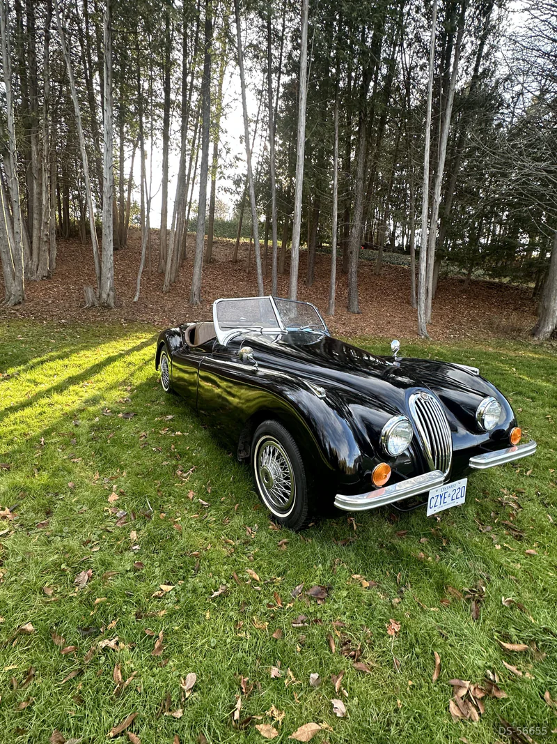1956 Jaguar Xk120 in Burlington 4