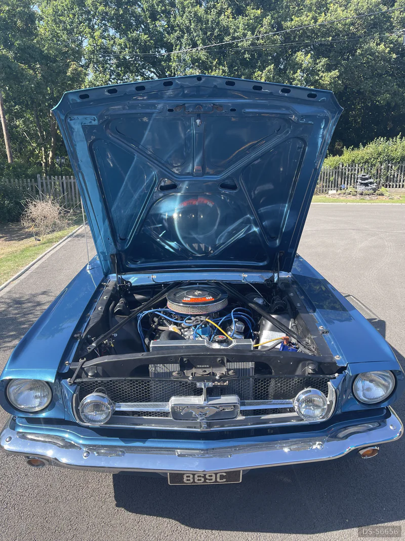1964 Ford Mustang Convertible in Langdon Hills 2