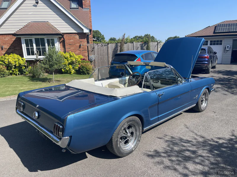1964 Ford Mustang Convertible in Langdon Hills 3