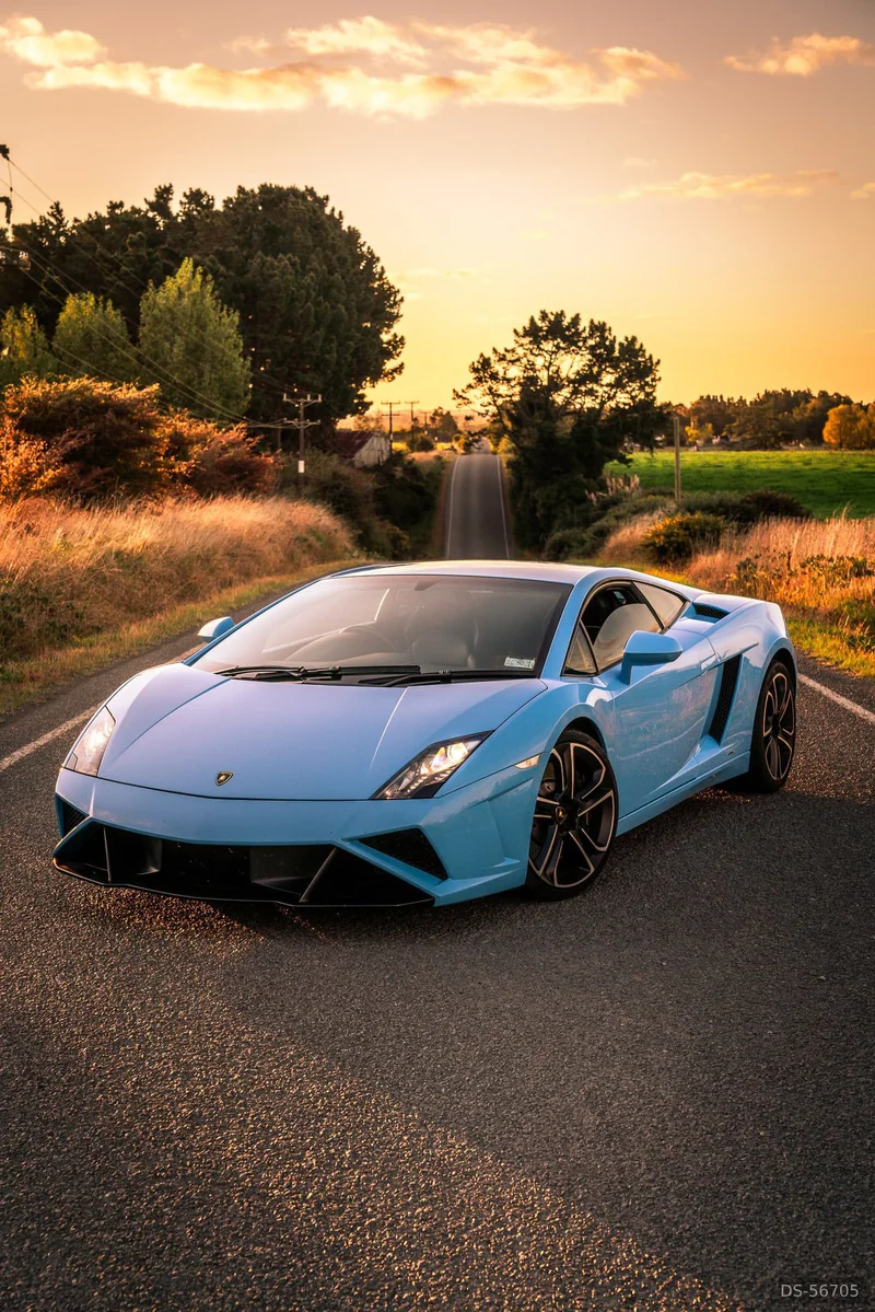 2013 Lamborghini Gallardo Fe in Palmerston North