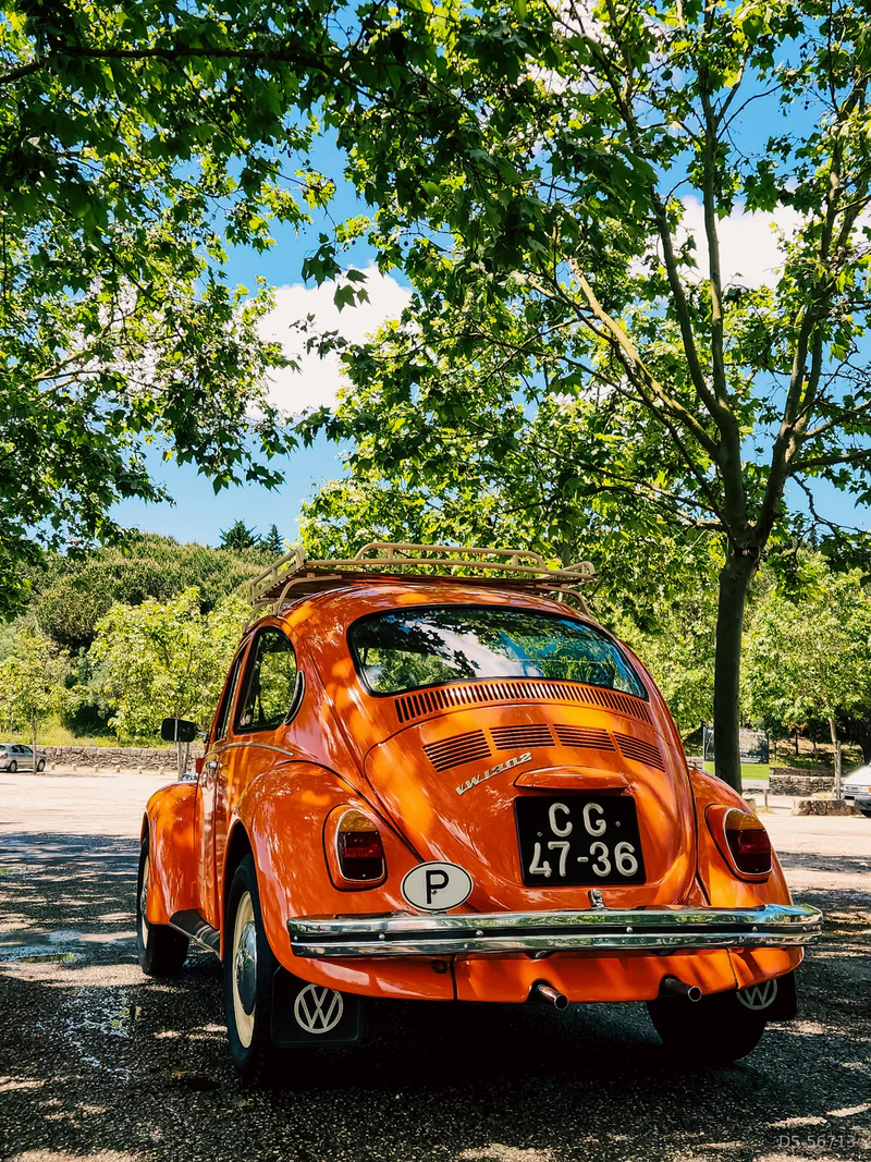 1972 Volkswagen Carocha in Amora 7