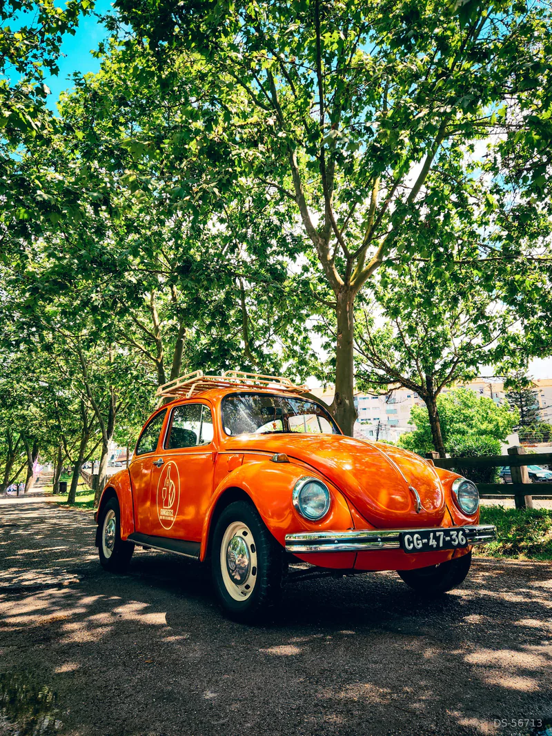 1972 Volkswagen Carocha in Amora 4