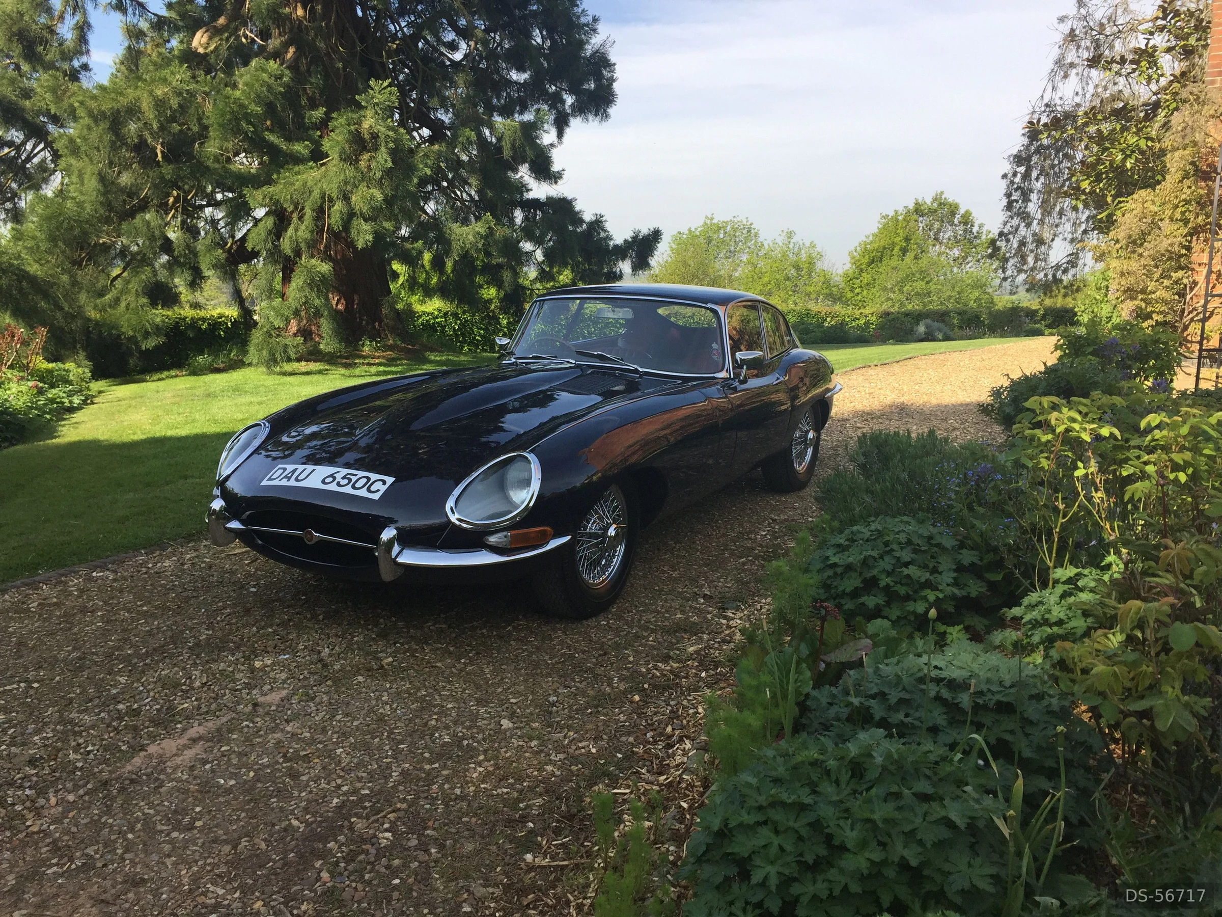 1965 Jaguar E-type