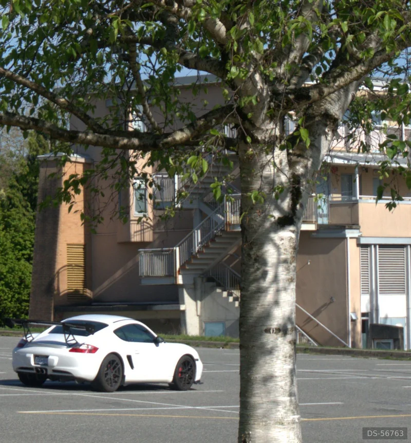 2007 Porsche Cayman S in Vancouver 5