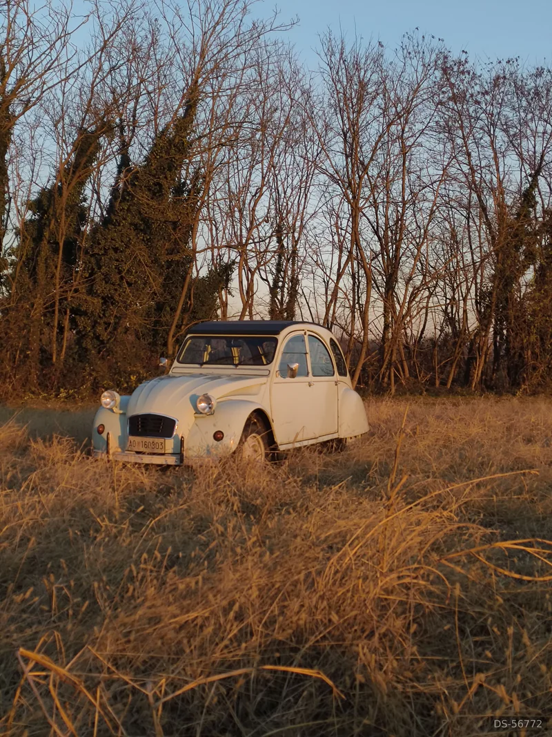 1989 Citroen 2cv in Casatenovo 6