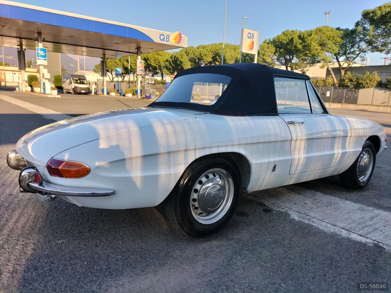 1968 Alfa Romeo Spider 1.3 Junior in Massa 2