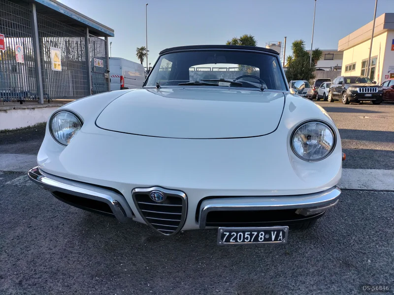 1968 Alfa Romeo Spider 1.3 Junior in Massa 3