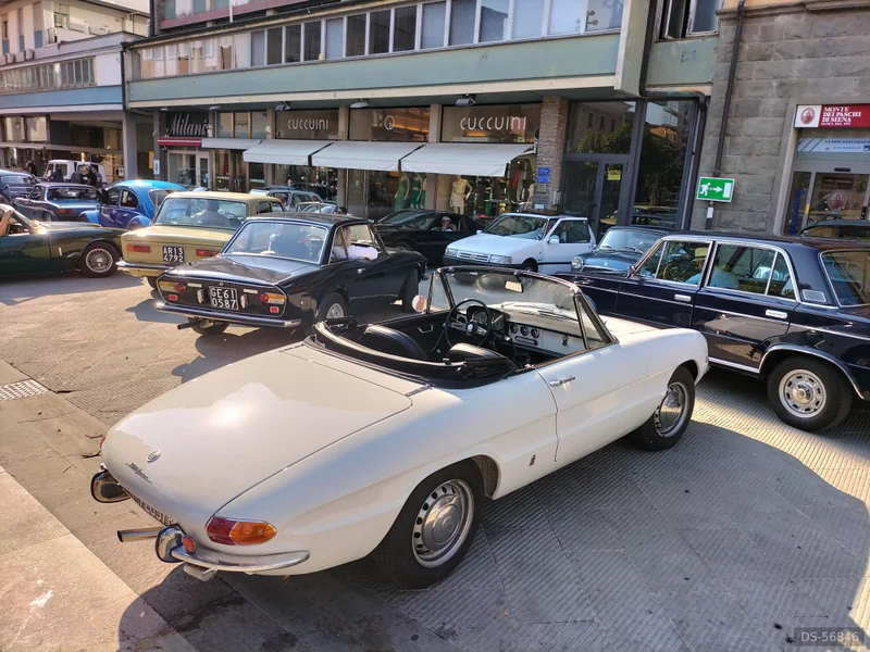 1968 Alfa Romeo Spider 1.3 Junior in Massa 7