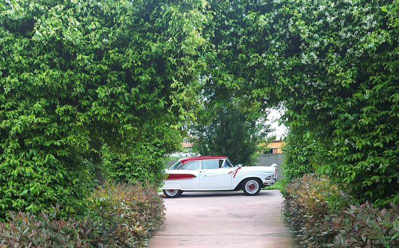 1958 Edsel Ranger in Busto Arsizio 5