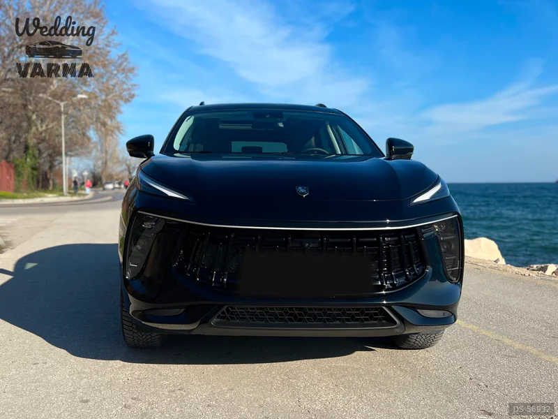 2024 Dongfeng T5 Evo in Varna 4