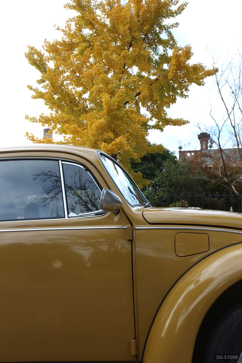 1972 Volkswagen Beetle in Malvern East 3