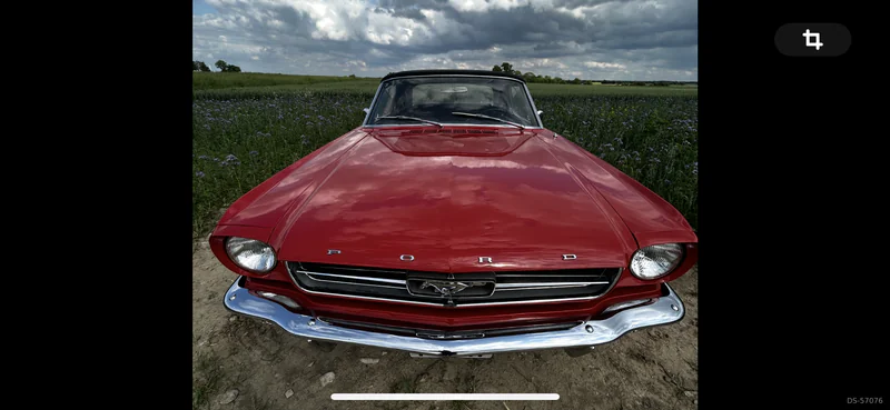 1965 Ford Mustang in Erwitte 4