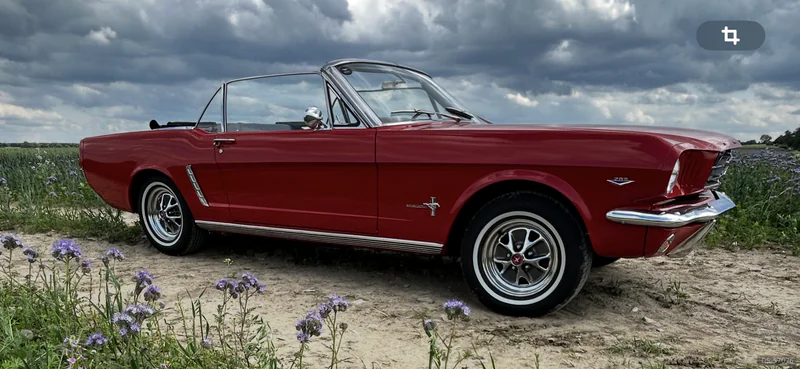 1965 Ford Mustang in Erwitte 3